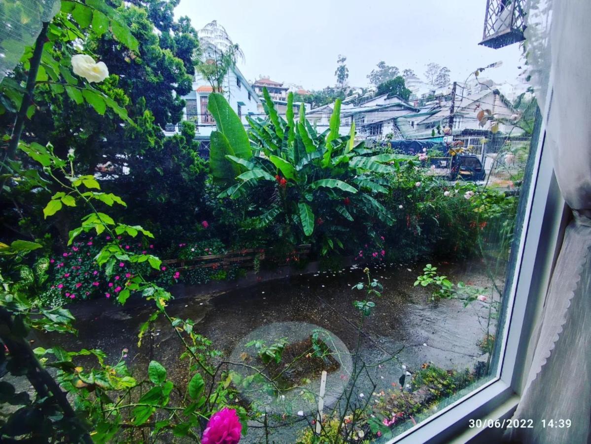 The 1954 House Villa Đà Lạt Ngoại thất bức ảnh